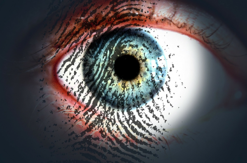 Keeping Your Biz Safe From The Dangers Of Data